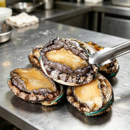 Fresh Abalone Premium Seafood Delight