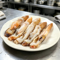 Sea Snail Meat Fresh Gourmet Seafood