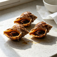 Fresh Sea Snails Premium Gourmet Delight