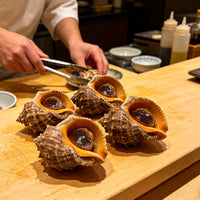 Fresh Sea Snails Premium Gourmet Delight
